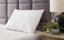 Zephyr 2.0 Cotton Pillow