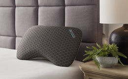 Zephyr 2.0 Graphene Contour Pillow Type