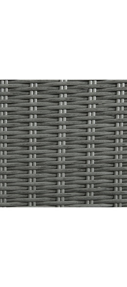 Elite Park Arm Chair With Cushion (2/CN)