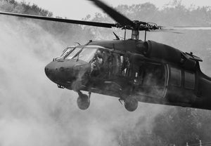 Black Hawk (Small) Giclee Canvas