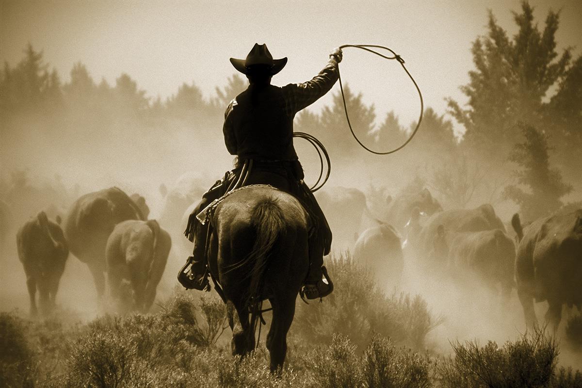 Rope And Ride By Danita Delimont (Small) Giclee Canvas