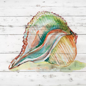 Tye Dyed Shell Ii By Carol Robinson (Small) Giclee Canvas