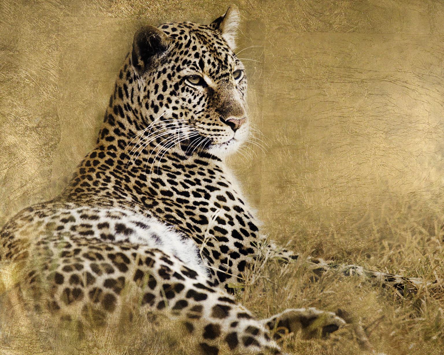 Tall Grass Gold By Danita Delimont (Small) Giclee Canvas