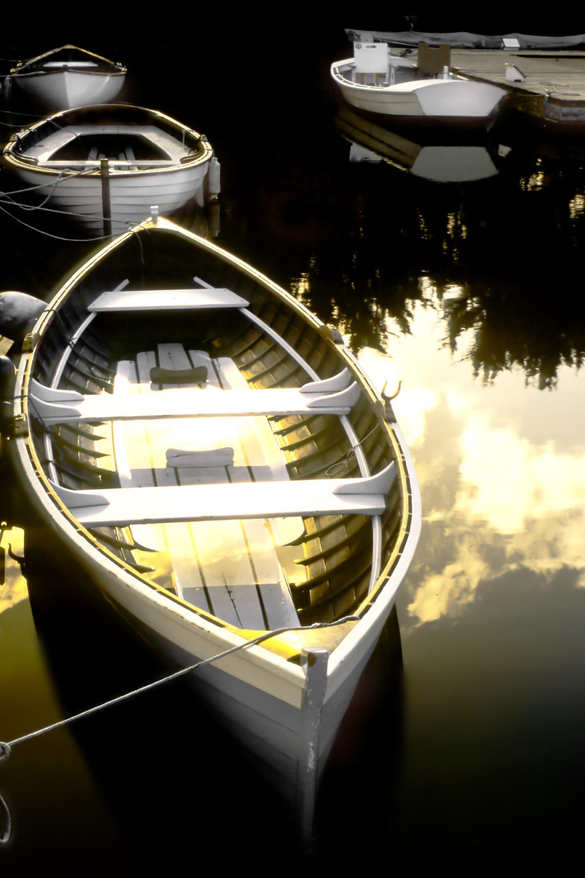 Morning Ready By Danita Delimont (Small) Giclee Canvas