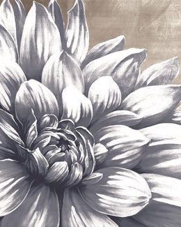 Charming Floral I By Dogwood Portfolio (Small) Giclee Canvas