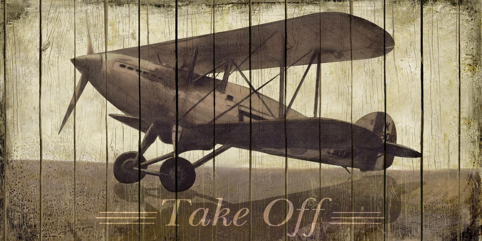 Take Off By Merri Pattinian (Small) Giclee Canvas