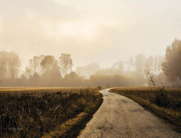 Country Road By Susan Ball (Small) Giclee Canvas