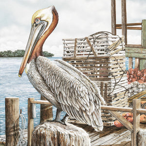 Majestic Pelican By James Harris (Small) Giclee Canvas
