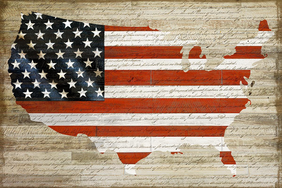 American Flag By Daniela Santiago (Small) Giclee Canvas