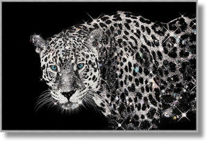 Glossy Framed Leopard W/ Rocks Mixed Media