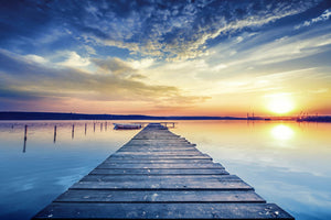 Temp Glass W/Foil - Dock Tempered Glass