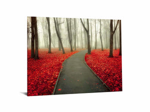 Temp Glass - Red Leaves Tempered Glass