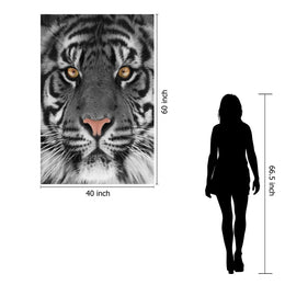 Temp Glass W/Foil - White Tiger Tempered Glass