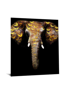 Temp Glass W/Foil - Gold Elephant Tempered Glass
