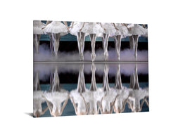 Temp Glass W/Foil - Ballerina Feet Tempered Glass