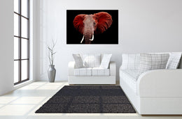 Temp Glass W/Foil - Red Elephant Tempered Glass