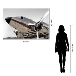Temp Glass W/Foil - Chrome Airplane Tempered Glass
