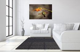 Temp Glass W/Foil - Hummingbird Tempered Glass