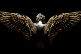 Temp Glass W/Foil - Spread Wings Tempered Glass