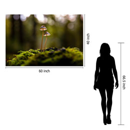 Temp Glass W/Foil -Mushrooms Tempered Glass