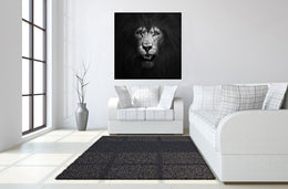 Temp Glass W/Foil -Lion B & W Tempered Glass