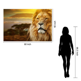 Temp Glass W/Foil -Lion Safari Tempered Glass