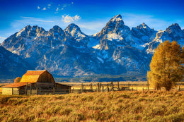 Temp Glass W/ Foil - Mountainous Barn Tempered Glass