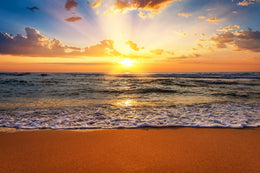 Temp Glass W/ Foil - Sunset Beach Tempered Glass