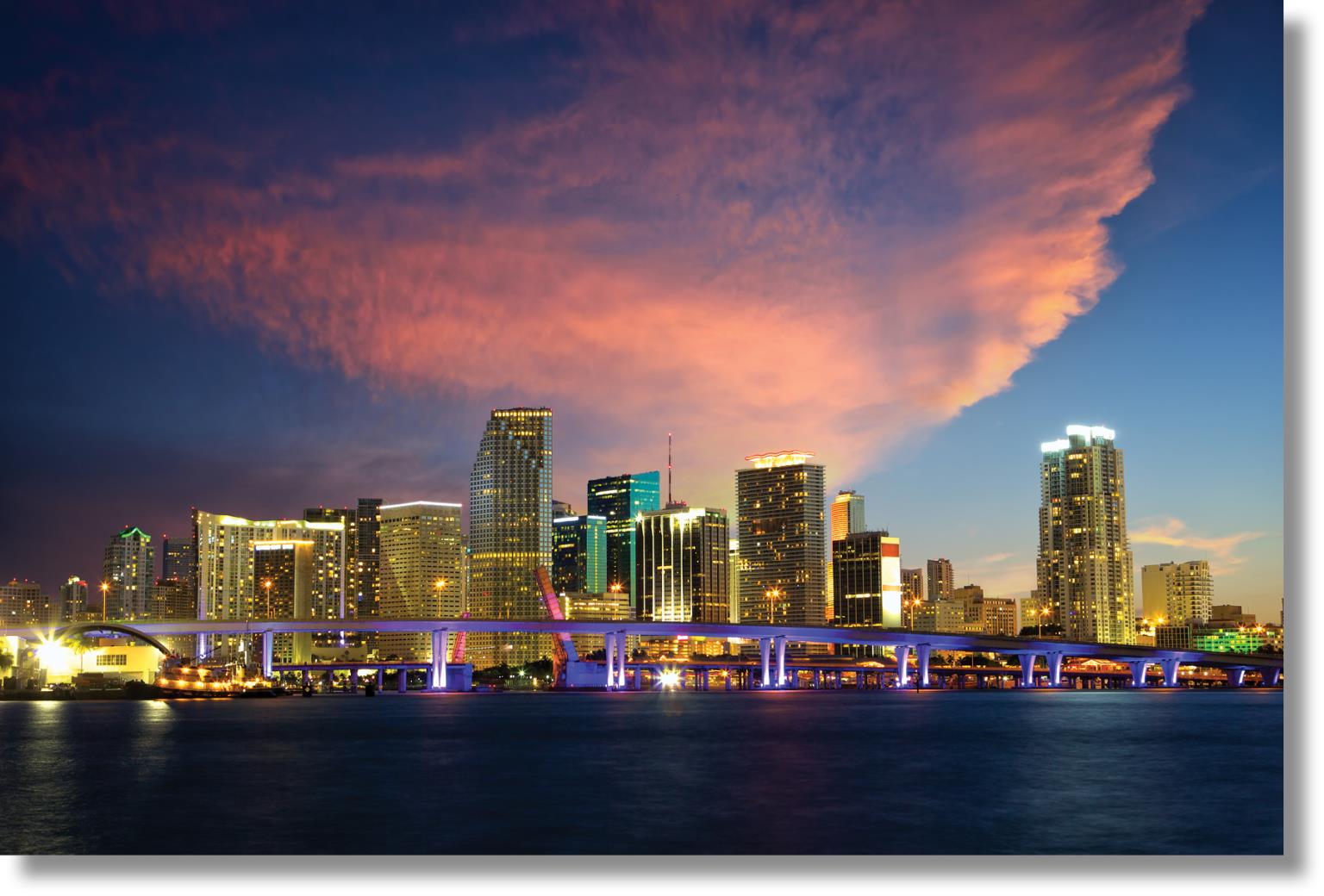 Temp Glass W/ Foil - Miami Skyline Tempered Glass