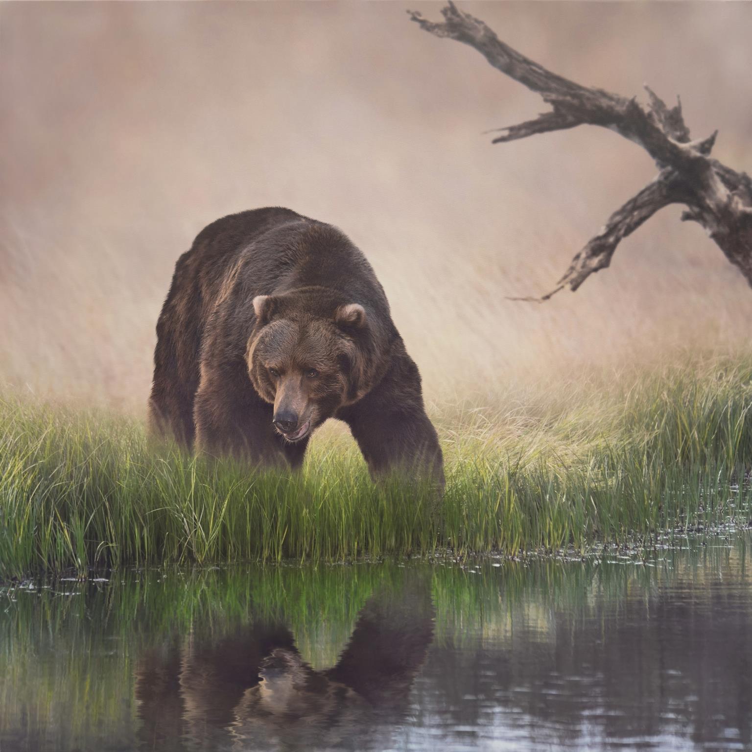 Print On Canvas Curated Canvas