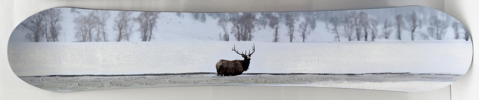 Snowboard - Elk Mixed Media