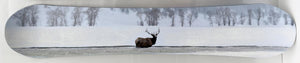Snowboard - Elk Mixed Media