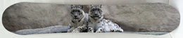 Snowboard - Cats Mixed Media
