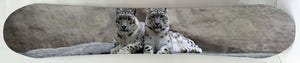 Snowboard - Cats Mixed Media