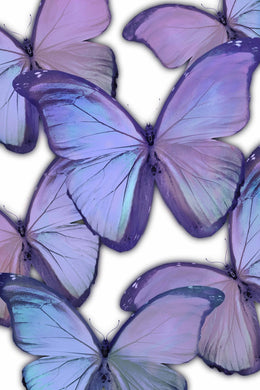 Gallery Wrapped Giclee On Canvas Curated Canvas