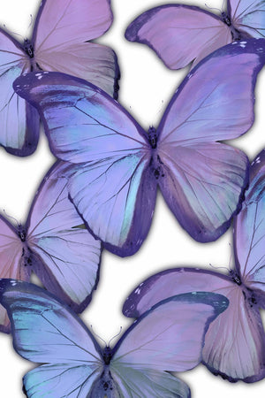 Gallery Wrapped Giclee On Canvas Curated Canvas