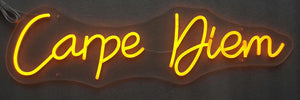 Neon Carpe Diem Mixed Media