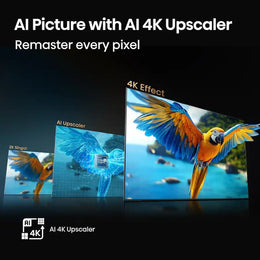 Hisense - 98" Class QD5 Series Hi-QLED 4K UHD Smart Google TV (2025)