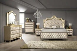 Kingdom 4PC OR 5PC Set - Queen