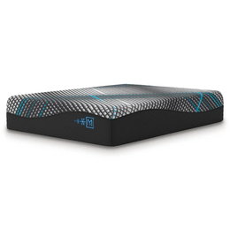 M312 - 14" Memory Foam (Plush) - Queen, King **NEW ARRIVAL**