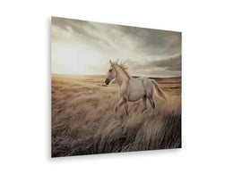 A8000489 - Wall Art **NEW ARRIVAL**